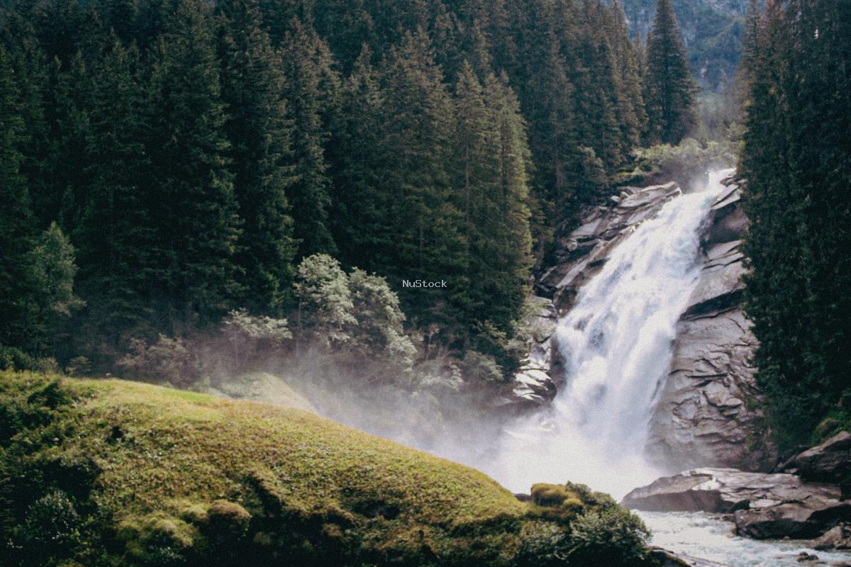 Forest Waterfall