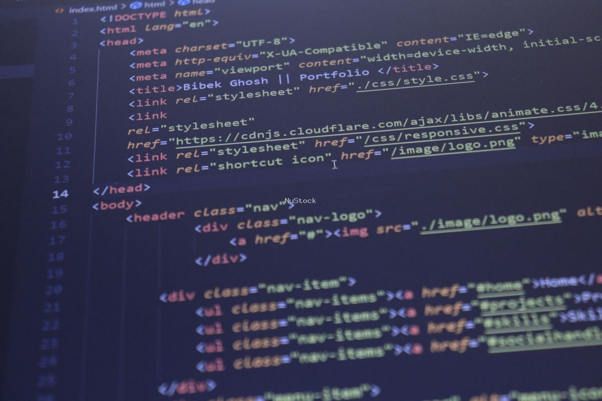 Web Development