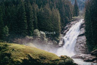 Forest Waterfall